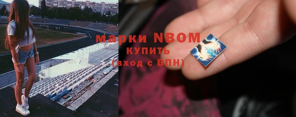 стаф Алексин