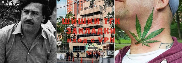 стаф Алексин